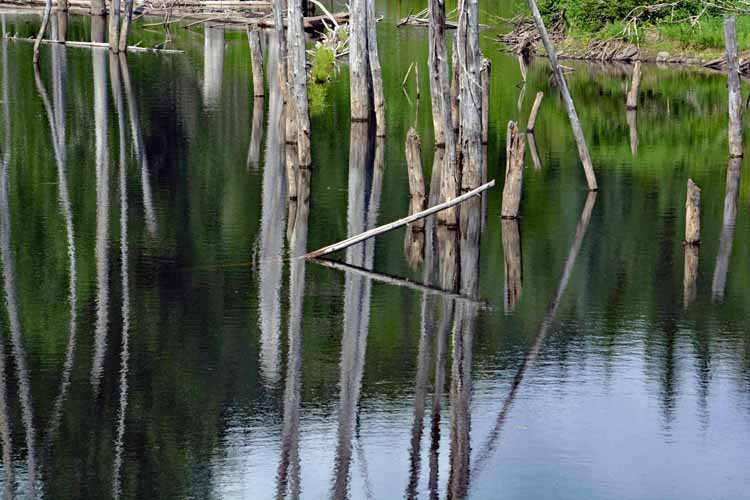 lake scene